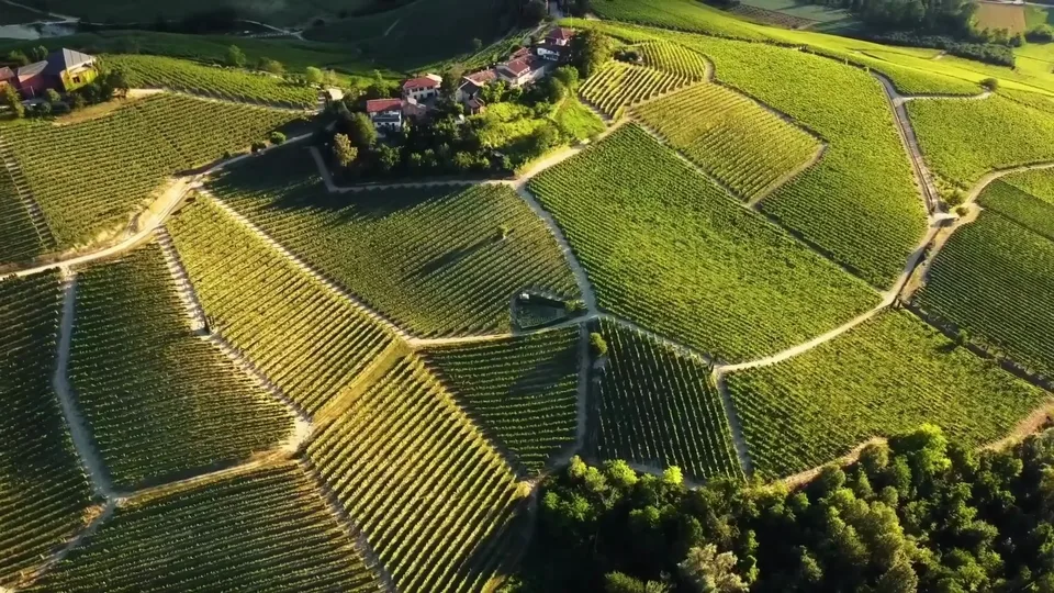 Moscato d'Asti campaign film still 2