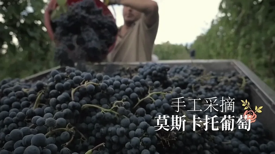 Moscato d'Asti campaign film still 4